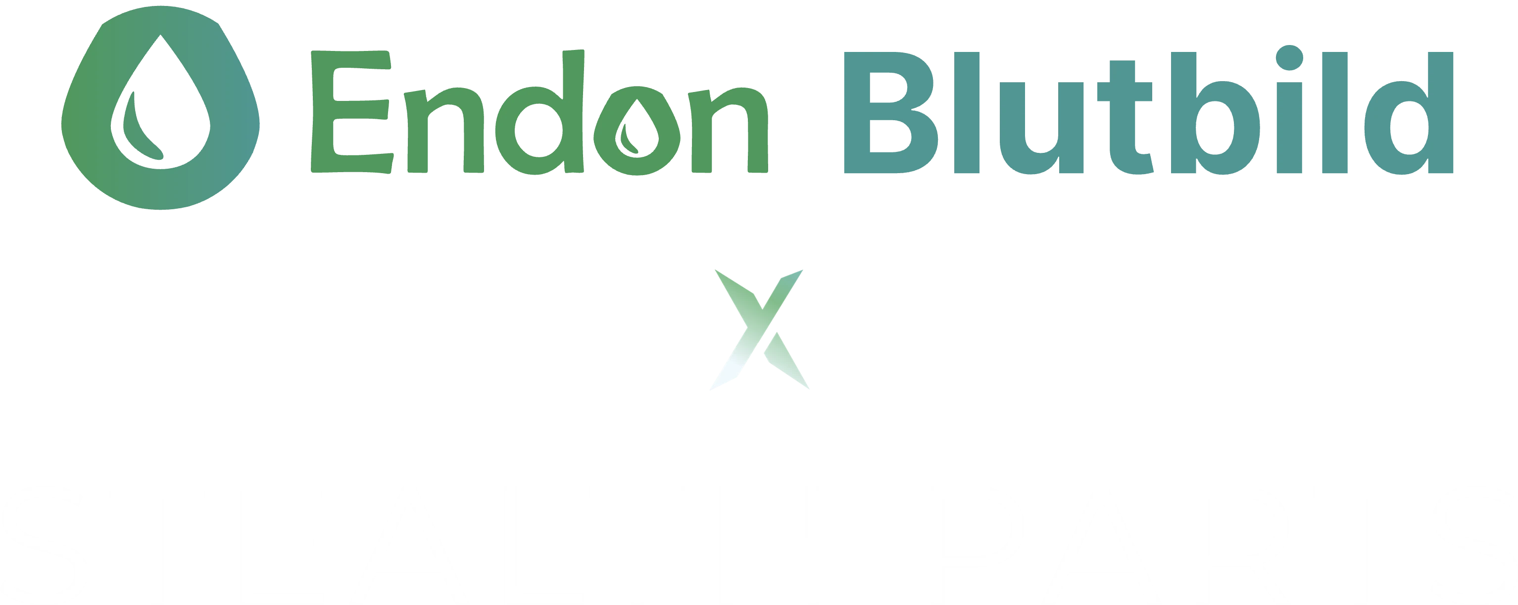 Endon Blutbild x Stealth Parts