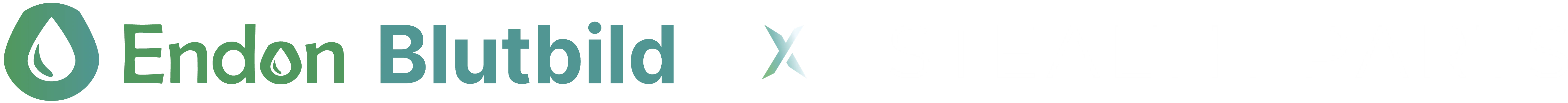 Endon Blutbild x Stealth Parts