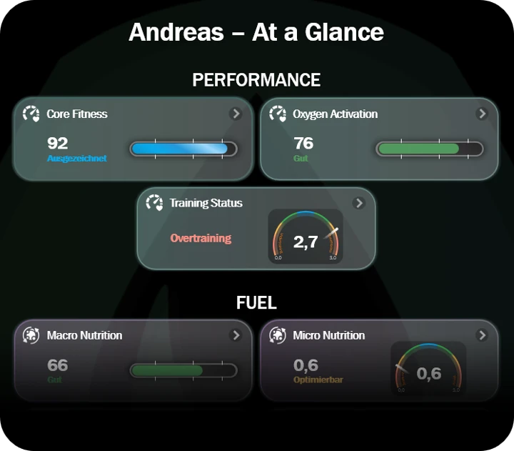 The Big Picture. Im Zusammenhang. Darstellung