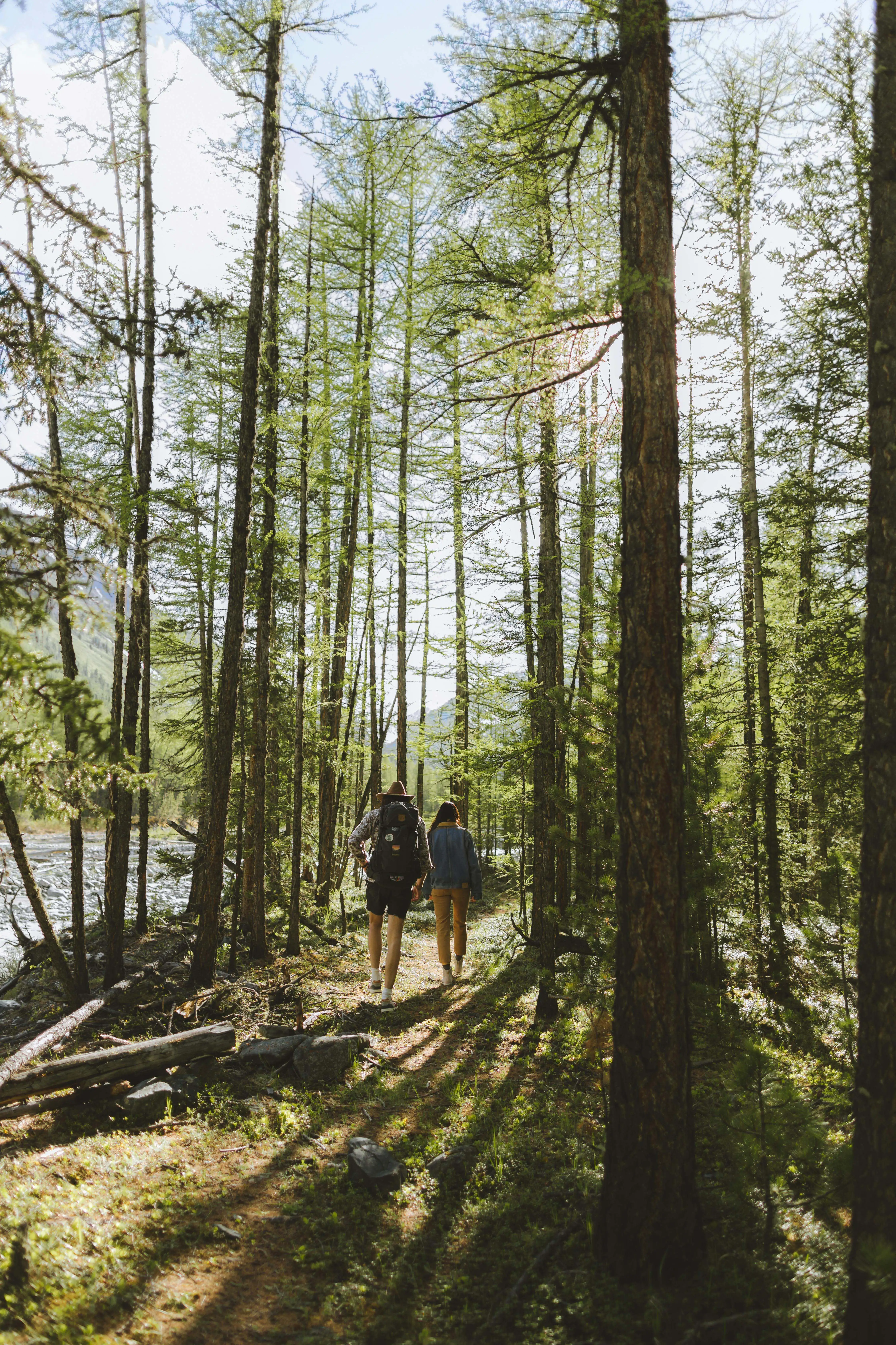 Two people hiking through a forest, representing health and wellness journey
