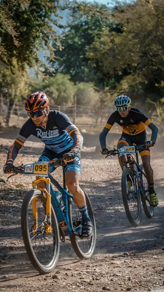 Gravel bikers forest